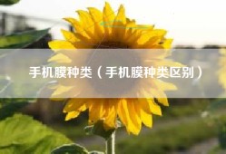 手机膜种类（手机膜种类区别）