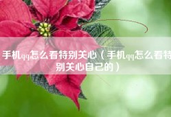 手机qq怎么看特别关心（手机qq怎么看特别关心自己的）