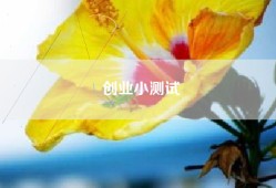 创业小测试