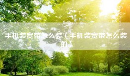 手机装宽带怎么装（手机装宽带怎么装的）