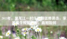 2013年，黑龙江一村庄遭到猛兽袭击，家养黄牛频繁遇害，真相如何