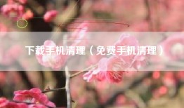 下载手机清理（免费手机清理）
