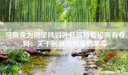 马斯克为何坚持对外开放特斯拉所有专利：关于创新与共享的革命