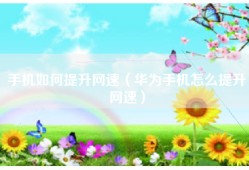 手机如何提升网速（华为手机怎么提升网速）