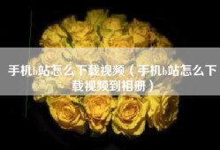 手机b站怎么下载视频（手机b站怎么下载视频到相册）