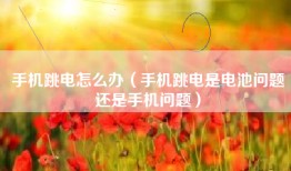 手机跳电怎么办（手机跳电是电池问题还是手机问题）