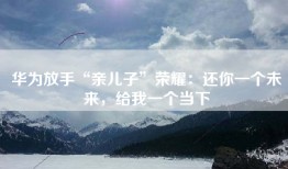 华为放手“亲儿子”荣耀：还你一个未来，给我一个当下