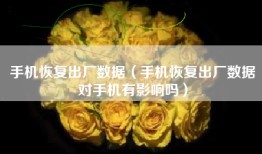 手机恢复出厂数据（手机恢复出厂数据对手机有影响吗）