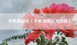手机架图片（手机架图片及价格）