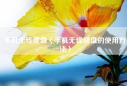 手机无线键盘（手机无线键盘的使用方法）