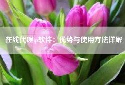 在线代理ip软件：优势与使用方法详解