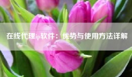 在线代理ip软件：优势与使用方法详解