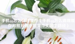 手机qq怎么清理缓存（手机qq怎么清理缓存和照片在手机文件夹哪个路径）