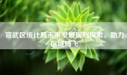 宣武区统计局未来发展规划探索，助力区域腾飞