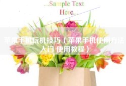 苹果手机玩机技巧（苹果手机使用方法入门 使用教程）