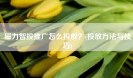 磁力智投推广怎么投放？(投放方法与技巧)