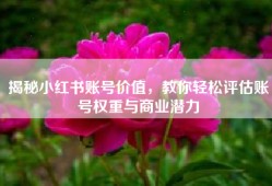 揭秘小红书账号价值，教你轻松评估账号权重与商业潜力