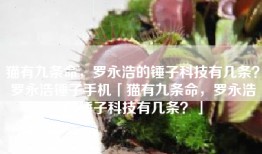 猫有九条命，罗永浩的锤子科技有几条？罗永浩锤子手机「猫有九条命，罗永浩的锤子科技有几条？」