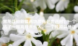 黑龙江和新疆两地都有老虎进村？一个转了一圈离开未伤人，一个纯粹就是谣言