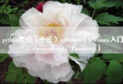 python爬虫（十三）selenium（Selenium入门、chromedriver、Phantomjs）