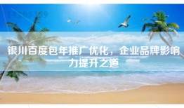 银川百度包年推广优化，企业品牌影响力提升之道