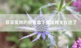 非常实用的骨灰盒下葬流程全在这了
