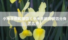 小米手机的微信（小米手机的微信分身怎么弄）
