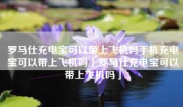 罗马仕充电宝可以带上飞机吗手机充电宝可以带上飞机吗「罗马仕充电宝可以带上飞机吗」