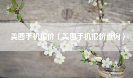 美图手机报价（美图手机报价查询）