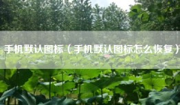 手机默认图标（手机默认图标怎么恢复）