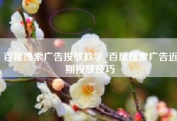 百度搜索广告投放教学_百度搜索广告近期投放技巧