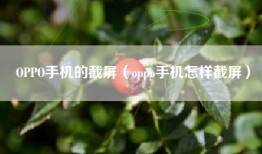 OPPO手机的截屏（oppo手机怎样截屏）