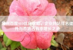 常州百度SEO优化攻略，企业网站排名提升与市场占有率增长之道