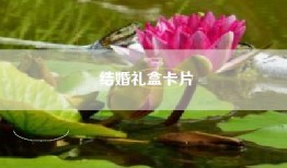 结婚礼盒卡片