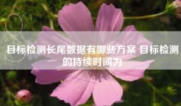 目标检测长尾数据有哪些方案 目标检测的持续时间为