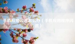 手机应用闪退怎么办（手机应用程序闪退）