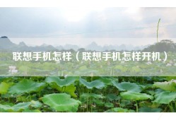 联想手机怎样（联想手机怎样开机）
