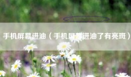 手机屏幕进油（手机屏幕进油了有亮斑）