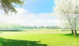 amd手机（amd手机控制电脑卡么）