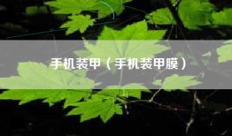 手机装甲（手机装甲膜）