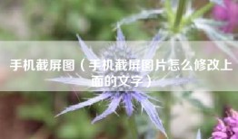 手机截屏图（手机截屏图片怎么修改上面的文字）
