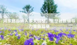 河东路街道人事大调整，重塑社区领导力量新篇章