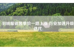 羽绒服销售单价一路上涨 行业加速升级迭代