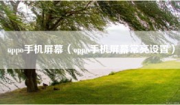 oppo手机屏幕（oppo手机屏幕常亮设置）