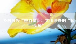 乡村振兴“她力量”：大山深处的“领头雁”