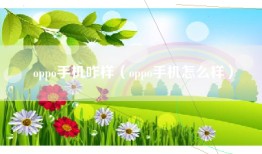oppo手机咋样（oppo手机怎么样）
