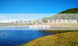 SEO百度快照优化公司，五大优势助力网站高效排名