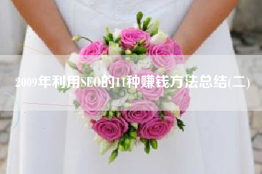 2009年利用SEO的11种赚钱方法总结(二) 2009年利用SEO的11种赚钱方法总结(二)