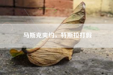 马斯克爽约，特斯拉打假
