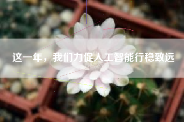 这一年，我们力促人工智能行稳致远